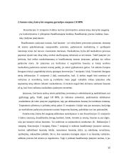 Žmogaus teisės ir laisvės ir saugumo samprata 12 puslapis