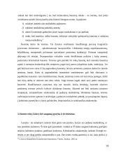 Žmogaus teisės ir laisvės ir saugumo samprata 13 puslapis