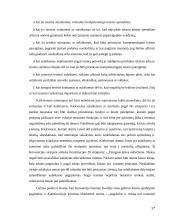 Žmogaus teisės ir laisvės ir saugumo samprata 17 puslapis