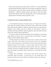 Žmogaus teisės ir laisvės ir saugumo samprata 19 puslapis