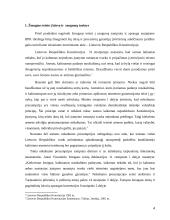 Žmogaus teisės ir laisvės ir saugumo samprata 4 puslapis