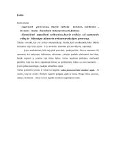 Tikrovės vaizdo rekonstrukcija teisėje 2 puslapis