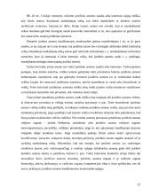 Juridinių asmenų teisė ir baudžiamoji atsakomybė   17 puslapis