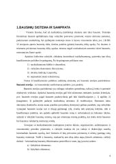 Laisvės atėmimas iki gyvos galvos 4 puslapis