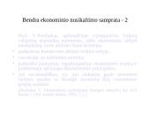 Nusikaltimai ir baudžiamieji nusižengimai ekonomikai ir verslui 3 puslapis