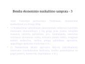 Nusikaltimai ir baudžiamieji nusižengimai ekonomikai ir verslui 4 puslapis