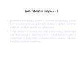 Nusikaltimai ir baudžiamieji nusižengimai ekonomikai ir verslui 6 puslapis