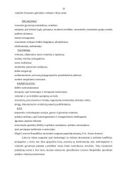 Lietuvos vidaus politika, nusikalstamumo prevencijos nacionalinio saugumo kontekste 11 puslapis