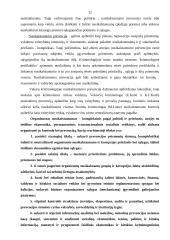 Lietuvos vidaus politika, nusikalstamumo prevencijos nacionalinio saugumo kontekste 13 puslapis