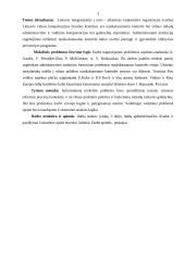 Lietuvos vidaus politika, nusikalstamumo prevencijos nacionalinio saugumo kontekste 4 puslapis