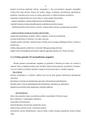 Lietuvos vidaus politika, nusikalstamumo prevencijos nacionalinio saugumo kontekste 10 puslapis