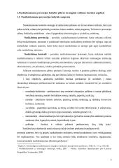 Nusikalstamumo prevencijos kokybės plėtros valdymas  3 puslapis