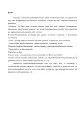 Prekybos žmonėmis prevencija Lietuvoje 2 puslapis