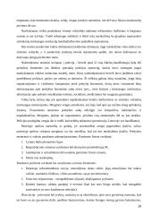 Prekybos žmonėmis prevencija Lietuvoje 18 puslapis