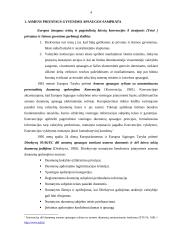 Žmogaus privatus gyvenimas – baudžiamojo įstatymo saugoma teisinė vertybė 4 puslapis