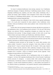 Baudžiamosios teisės principai ir samprata  13 puslapis