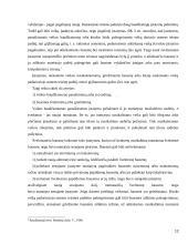 Baudžiamųjų įstatymų galiojimas laike ir erdvėje 12 puslapis