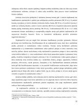 Nepilnamečių atleidimo nuo baudžiamosios atsakomybės teoriniai ir praktiniai aspektai 13 puslapis