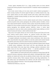 Nepilnamečių atleidimo nuo baudžiamosios atsakomybės teoriniai ir praktiniai aspektai 19 puslapis