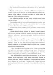 Amnestijos samprata ir teisinė prigimtis 11 puslapis