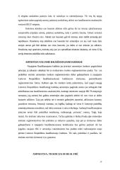 Amnestijos samprata ir teisinė prigimtis 14 puslapis