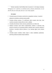 Amnestijos samprata ir teisinė prigimtis 16 puslapis