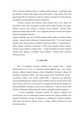 Atleidimas nuo baudžiamosios atsakomybės ir bausmės 19 puslapis