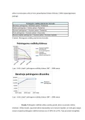 Įmonės UAB „ Saulė“ finansinė analizė 16 puslapis