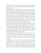 Teisės uždaviniai 13 puslapis