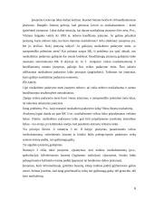 Baudžiamosios teisės uždavinių sprendimai 6 puslapis