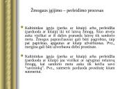 Nusikaltimai žmogaus laisvei 12 puslapis