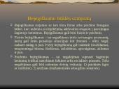 Nusikaltimai ir baudžiamieji nusižengimai žmogaus seksualinio apsisprendimo laisvei ir neliečiamumui 17 puslapis