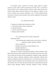 Budėtojų padalinių sistema, uždaviniai ir darbo organizavimas policijos veikloje 15 puslapis