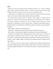 Advokatas civiliniame procese 2 puslapis