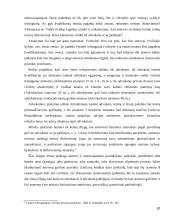 Advokatas civiliniame procese 10 puslapis