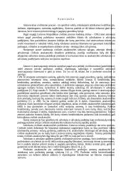 Atstovavimo teisinio santykio ypatumai teikiant valstybės garantuojamą teisinę pagalbą civilinėse bylose 6 puslapis