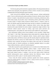 Arbitražas - specialusis teisinis ginčų tarp verslo subjektų sprendimo būdas 6 puslapis