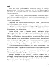 Asmens garbės ir orumo gynimas 2 puslapis