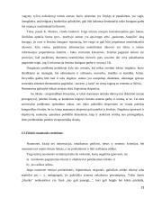 Asmens garbės ir orumo gynimas 13 puslapis