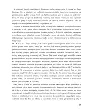 Asmens garbės ir orumo gynimas 17 puslapis