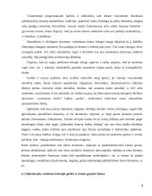 Asmens garbės ir orumo gynimas 9 puslapis