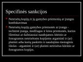 Autorių ir gretutinių teisių apsaugos praktiniai aspektai, įgyvendinant EB normas Lietuvoje  19 puslapis