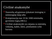 Autorių ir gretutinių teisių apsaugos praktiniai aspektai, įgyvendinant EB normas Lietuvoje  20 puslapis