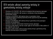 Autorių ir gretutinių teisių apsaugos praktiniai aspektai, įgyvendinant EB normas Lietuvoje  3 puslapis