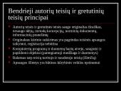 Autorių ir gretutinių teisių apsaugos praktiniai aspektai, įgyvendinant EB normas Lietuvoje  8 puslapis