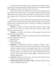 Būsto kredito sutartis 6 puslapis