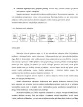 Būsto kredito sutartis 7 puslapis