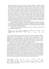 Proceso atnaujinimo civilinėse bylose esmė ir paskirtis 2 puslapis