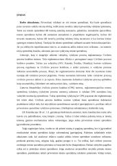 Teismo sprendimų vykdymas antstolių institucinės reformos kontekste. Diplominis darbas 2 puslapis