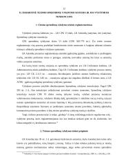 Antstolių reforma, teismo sprendimų vykdymas 12 puslapis